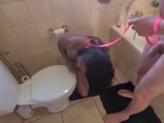 Humain toilettes indien strumpet obtenir pissed sur et obtenir son tête flushed followed par suçage johnson