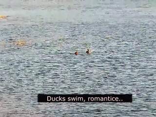 Romantisk blowjob på den strand av kjærlighet med ducks: porno 01 | xhamster